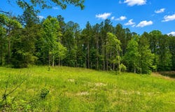 Niki Lane, Pelahatchie, MS 39145
