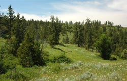 NHN Lone Rock Canyon, Hysham, MT 59038