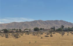 Merino, Apple Valley, CA 92308
