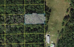 POLK CITY, POLK CITY, FL 33868