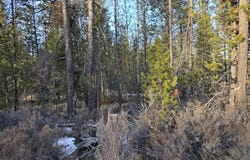 16852 ELSINORE RD, Bend, OR 97707