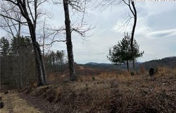 no # Edna Perry Road, Crumpler, NC 28617