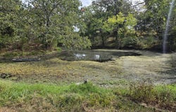 1454 County Road 1210, Willow Springs, MO 65793
