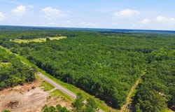 442 Barfield Road, Elgin, SC 29045