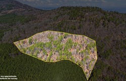 Pool Hollow Road, Dardanelle, AR 72834