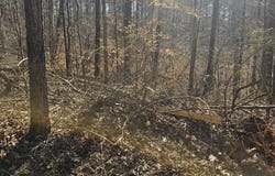 1204 Lake Breeze Drive, Myrtle, MS 38650