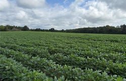 Tract 2 BCR 810, Glen Allen, MO 63751