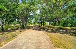 10148 Bluebonnet Drive, Scurry, TX 75158
