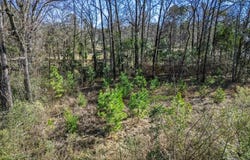 North Park Drive, Arkadelphia, AR 71923