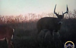 S California Rd, Melvern, KS 66510-9999
