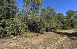 Parcel B Bear Head Road, Crestview, FL 32539
