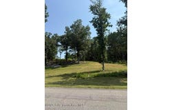 1051 PATRICK Street, WAVERLY, AL 36879