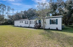 30148 CLEARVIEW Drive, WESLEY CHAPEL, FL 33545