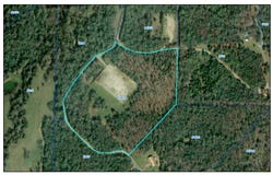 252 Fm 3285, Fairfield, TX 75840