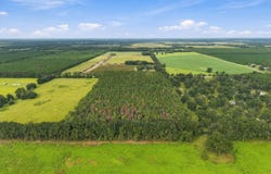 NW 30th Ave, Trenton, FL 32693