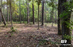 Cedar Trace, Theodore, AL 36582