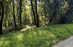 WHISPERING LN, STANLEY, VA 22851