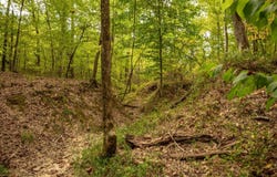 Terry Road, Byram, MS 39272