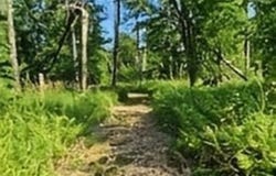 Shenfield Road, Turner, MI 48765