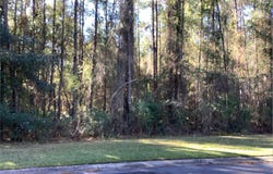 Secret Cove Road, Woodbine, GA 31569