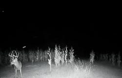 Dugan Road, Vevay, IN 47043