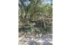 12 PR 2765, Montell, TX 78880
