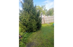 332 N Chestnut St, Van Wert, OH 45891