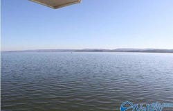 38 Pine Island Point, Scottsboro, AL 35968