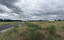 4207 E Molly Jean Ln, Chattaroy, WA 99003