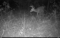 N80 Helt Rd, Antlers, OK 74525