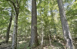 3 County Road 24, Enterprise, MS 39330