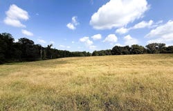 2000 Sandy Cross Road, Royston, GA 30662