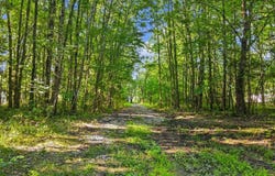 Patterson Road, Tate Twp, OH 45106