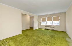 58 Elm Street, Hicksville, NY 11801