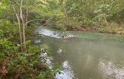1602 Turkey Creek Road, Mountain View, AR 72560