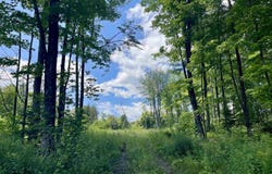 2209 Underpass Road, Sutton, VT 05867