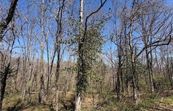 Auldearn Circle lot: 41, Bella Vista, AR 72715