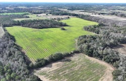 Mimosa Ln, Cottondale, FL 32431