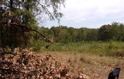 TBD Beneux Bottom RD, Mulberry, AR 72947
