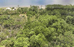 WOODILL Road, Carrabelle, FL 32322