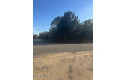 123 ELLEN Avenue, Interlachen, FL 32148