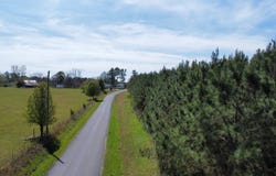 Robin Hill Road, Oneonta, AL 35121