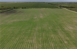 Jesus Flores Road, Edcouch, TX 78538