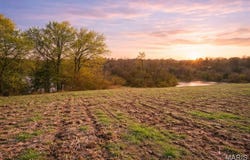 010 Hidden Hills, Washington, MO 63090