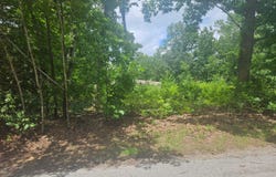 Woodruff Street, Mountain View, MO 65548