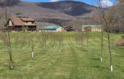 115 Bouton Road, Fleischmanns, NY 12430