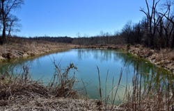 State Route 135, Marion, KY 42064