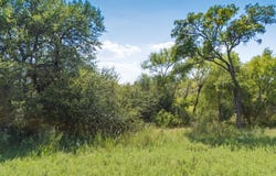 17091 Faircrest Drive, Whitney, TX 76692