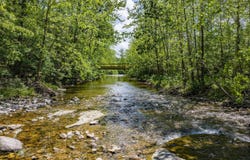 53 & 13 SIDING LN, VESUVIUS, VA 24483