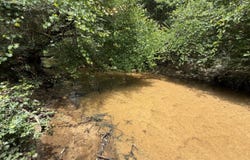 Highway 124, Enterprise, AL 36330